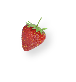 Fresa